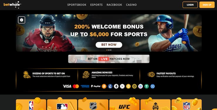 An image of BetWhale, one of the best political betting sites.